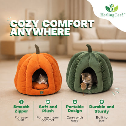 Cat Pumpkin Bed