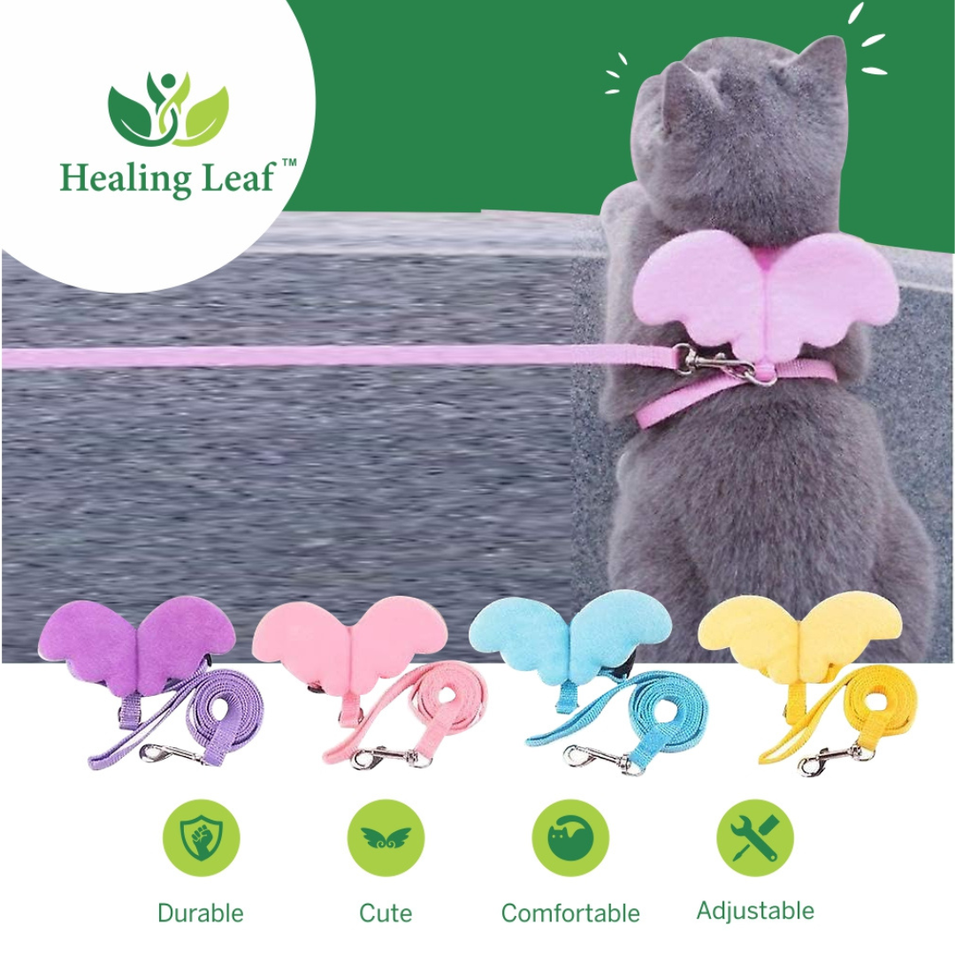 Cat Harness