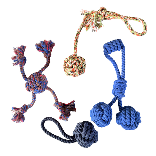 Healing Leaf's 100% Cotton Rope toys (pack of 4) (Colour May vary)