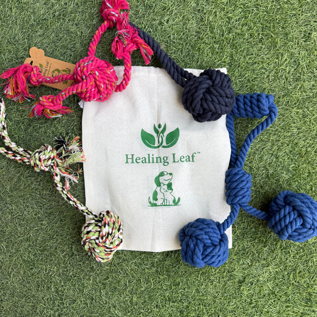 Healing Leaf's 100% Cotton Rope toys (pack of 4) (Colour May vary)