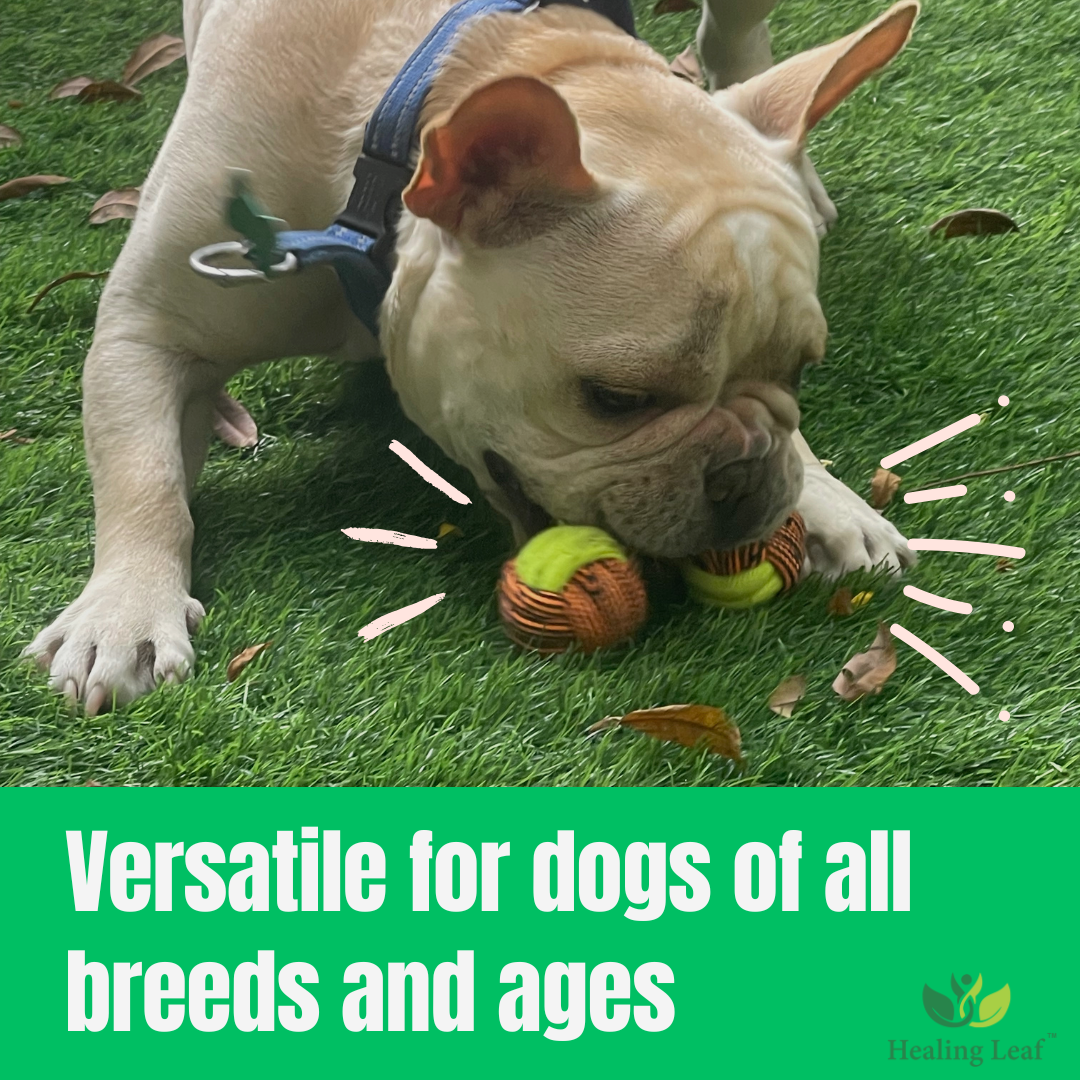Healing Leaf's 100% Cotton Rope toys (pack of 4) (Colour May vary)