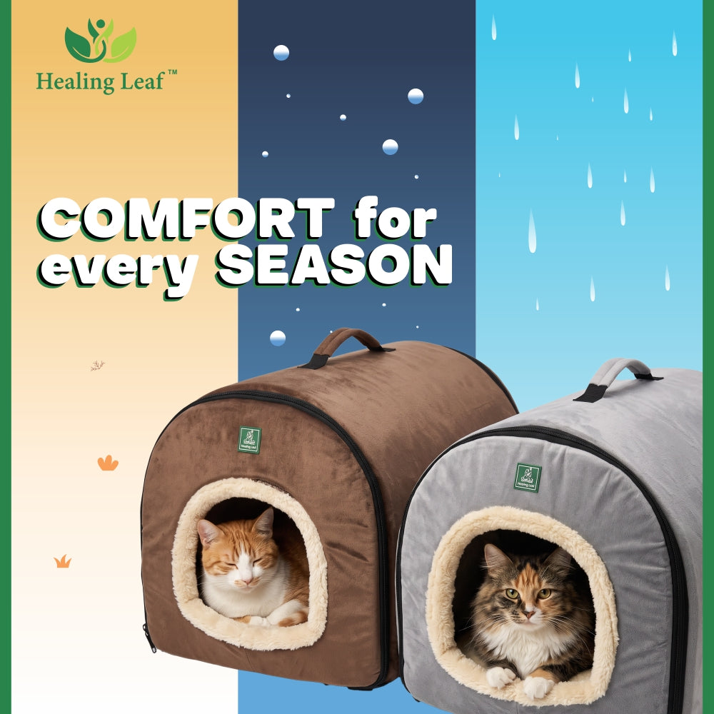Cat portable bed with a handle above