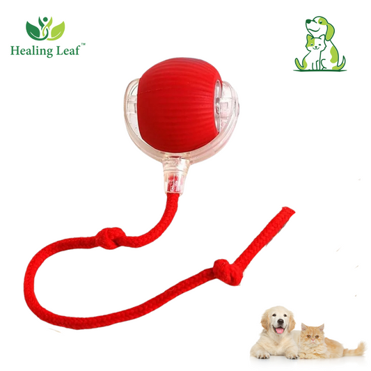 Automatic Rope Toy with thread