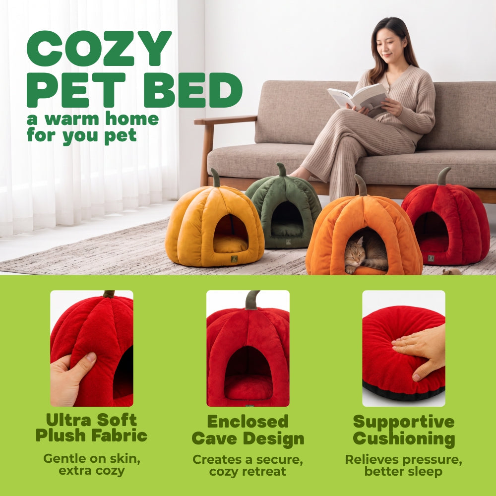 Cat Pumpkin Bed