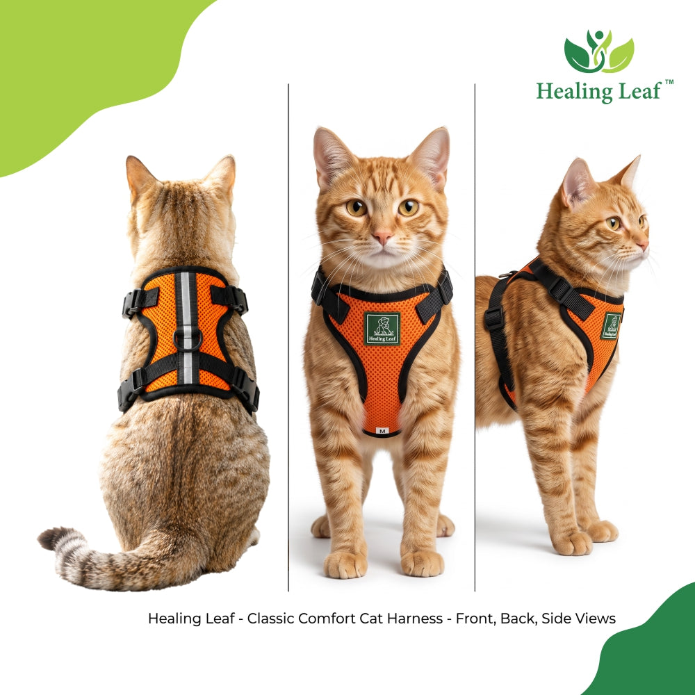 Cat body reflective Harness ( Set of 3 ) Collar ,Leash and Harness