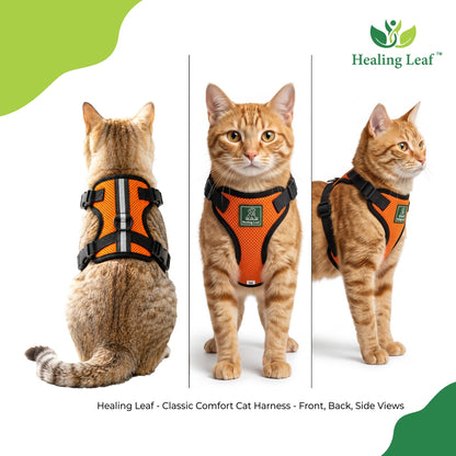 Cat body reflective Harness ( Set of 3 ) Collar ,Leash and Harness