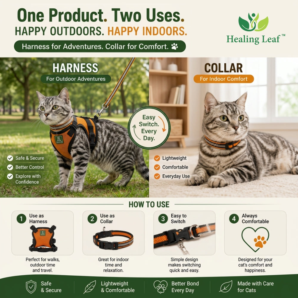 Cat body reflective Harness ( Set of 3 ) Collar ,Leash and Harness