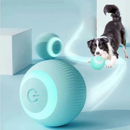 Ineractive ball