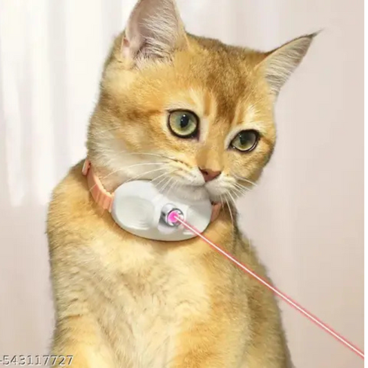 Cat laser collar