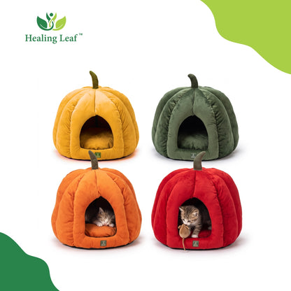 Cat Pumpkin Bed
