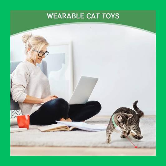 Cat laser collar