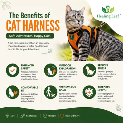 Cat body reflective Harness ( Set of 3 ) Collar ,Leash and Harness