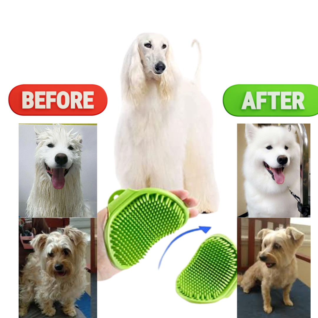 combo of 4 (slicker brush gloves shampoo and rubber brush )