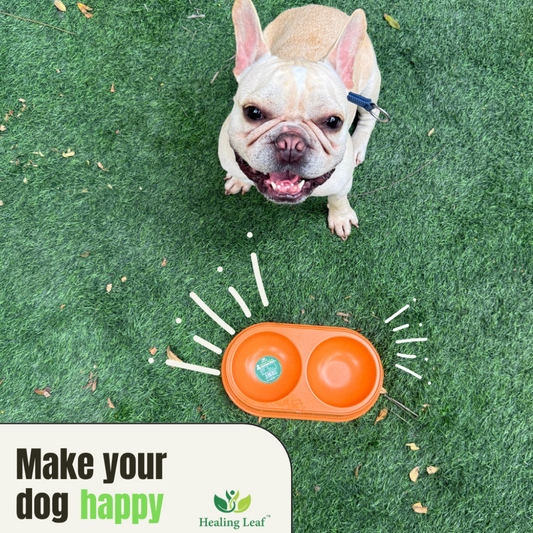 Eco-friendly Dual Bamboo Bowl For dogs and Cats