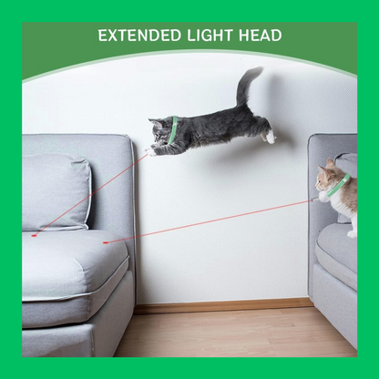 Cat laser collar