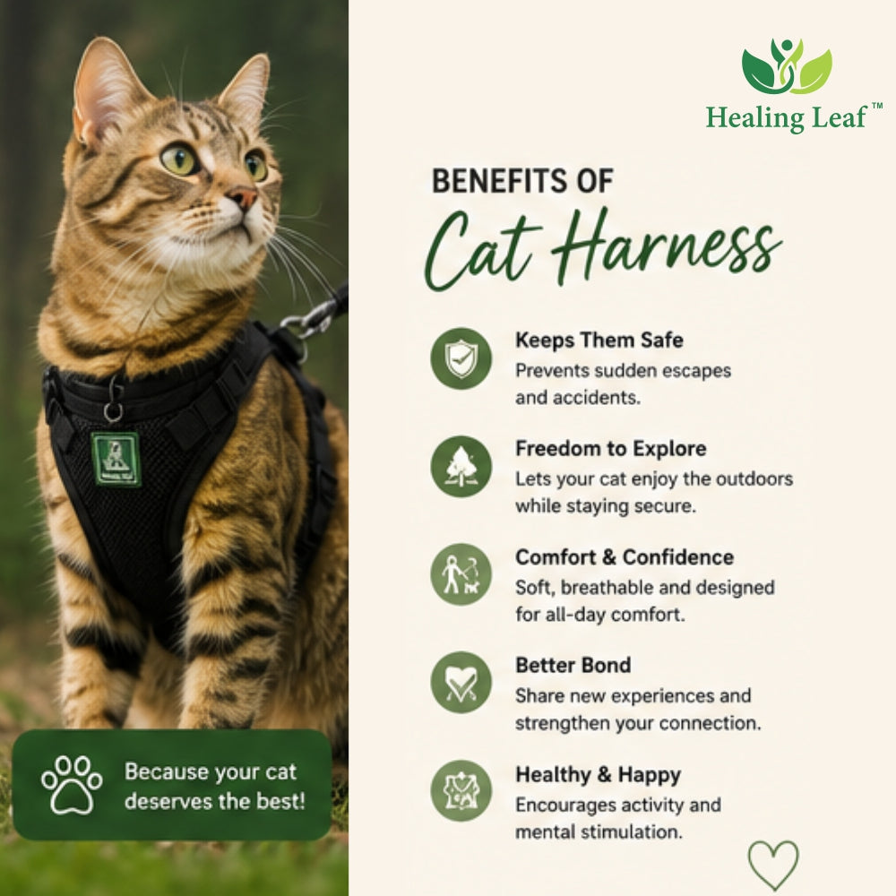 Cat body reflective Harness ( Set of 3 ) Collar ,Leash and Harness