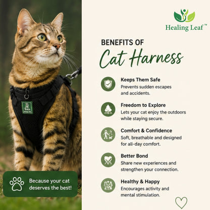 Cat body reflective Harness ( Set of 3 ) Collar ,Leash and Harness