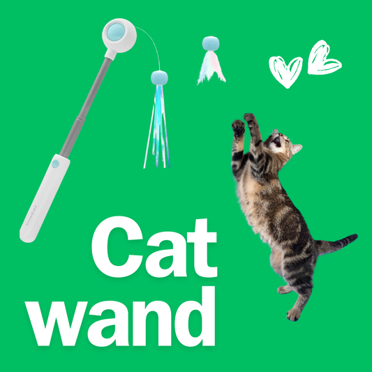 Healing Leaf cat teaser wand