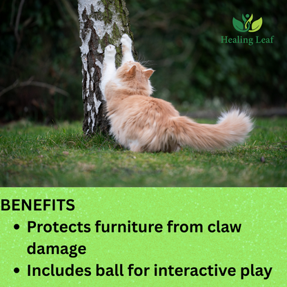 Healing Leaf's Cat Scratcher Cardboard 2 in 1 Reversible Scratching Pad Recyclable Corrugated Scratch Toy with Wave Shape (Bed Shape Scratching Pad)