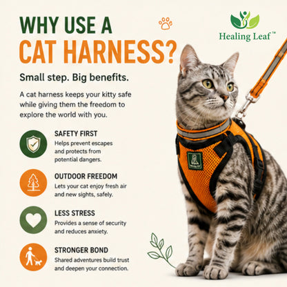 Cat body reflective Harness ( Set of 3 ) Collar ,Leash and Harness