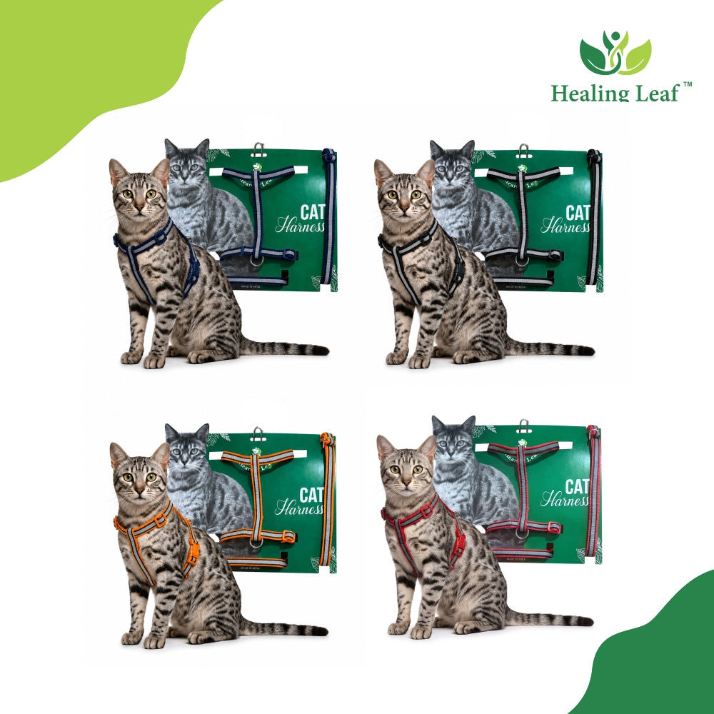 Cat Reflective Harness Single Strap (set of 3) Collar, Leash and Harness