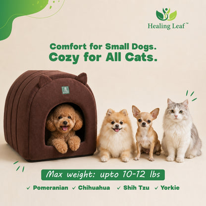 Cat Bed with a ear