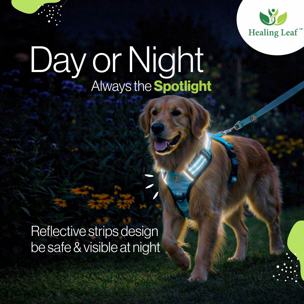 Dog Harness| Vest Harness for Dogs & Puppy | Adjustable Straps & Buckle | Soft & Breathable | 3M Reflective Padded Handle Harness with Secure Fit | Easy Control Dogs Chest Belt
