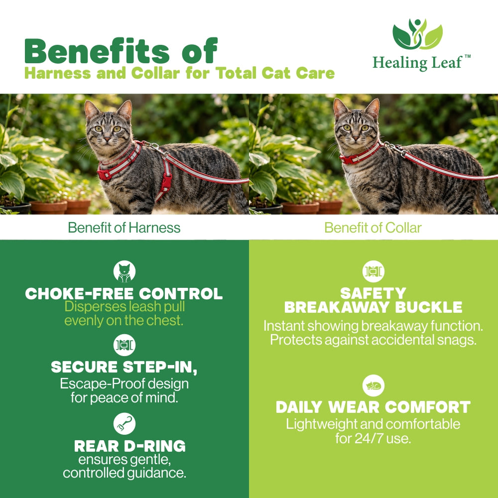 Cat Reflective Harness Single Strap (set of 3) Collar, Leash and Harness