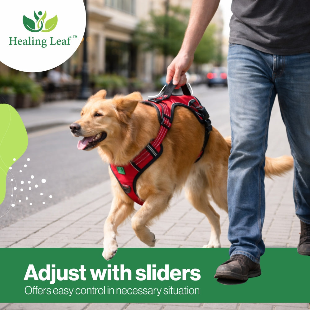 Dog Harness| Vest Harness for Dogs & Puppy | Adjustable Straps & Buckle | Soft & Breathable | 3M Reflective Padded Handle Harness with Secure Fit | Easy Control Dogs Chest Belt