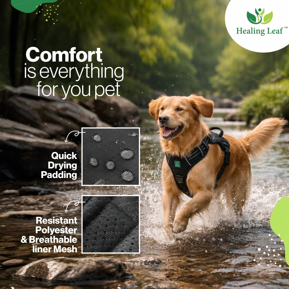 Dog Harness| Vest Harness for Dogs & Puppy | Adjustable Straps & Buckle | Soft & Breathable | 3M Reflective Padded Handle Harness with Secure Fit | Easy Control Dogs Chest Belt