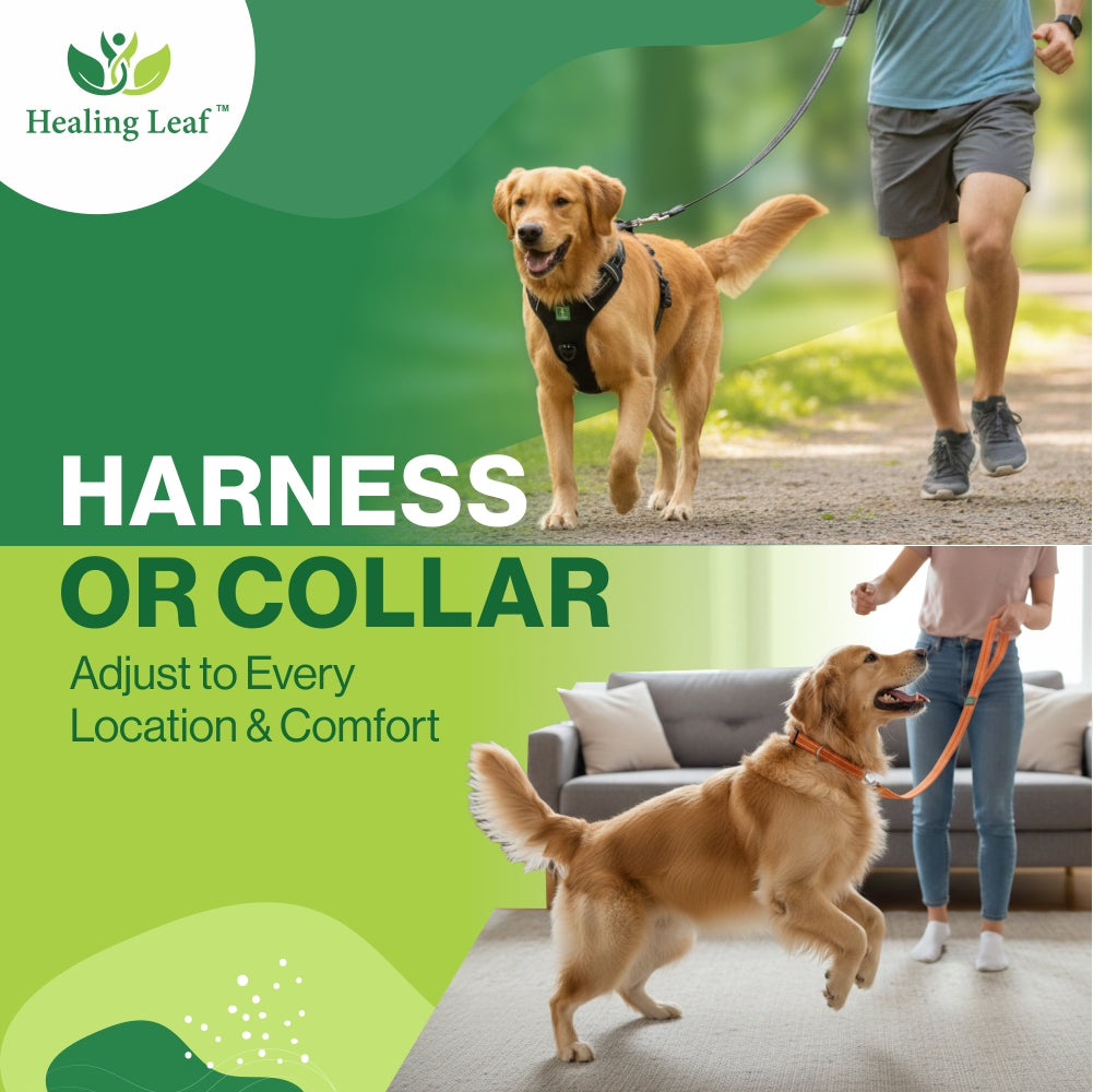 Dog Harness| Vest Harness for Dogs & Puppy | Adjustable Straps & Buckle | Soft & Breathable | 3M Reflective Padded Handle Harness with Secure Fit | Easy Control Dogs Chest Belt