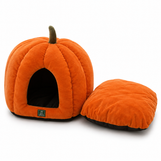 Cat Pumpkin Bed