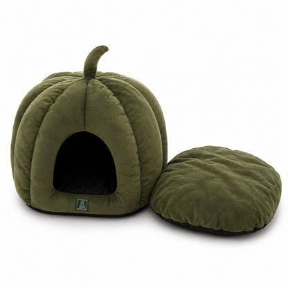 Cat Pumpkin Bed