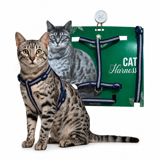 Cat Reflective Harness Single Strap (set of 3) Collar, Leash and Harness