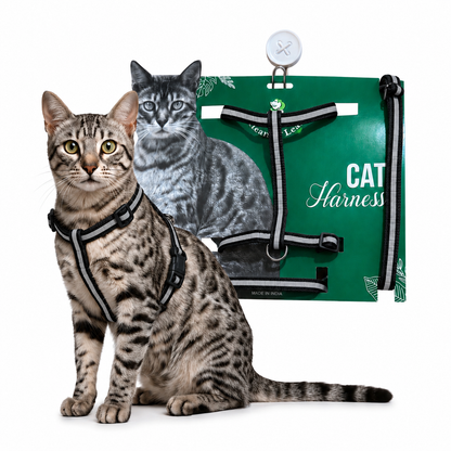 Cat Reflective Harness Single Strap (set of 3) Collar, Leash and Harness