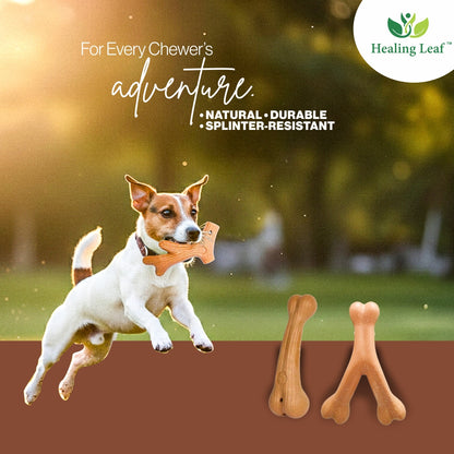 Wooden chew Toys - Wish Bone