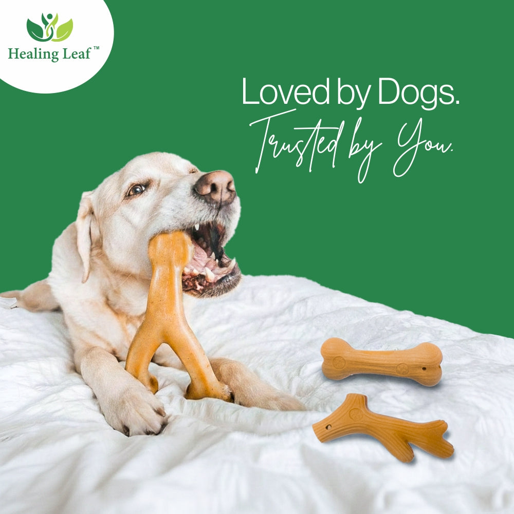Wooden chew Toys - Wish Bone