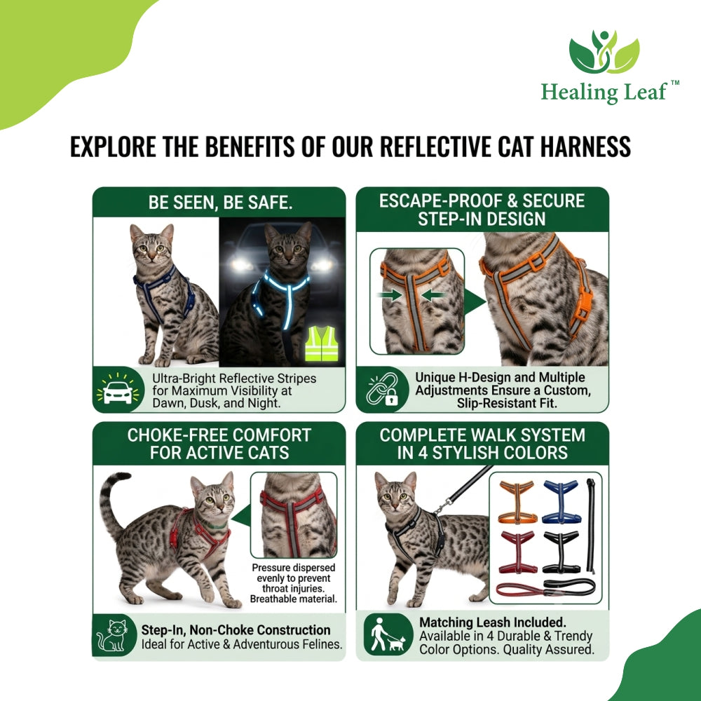 Cat Reflective Harness Single Strap (set of 3) Collar, Leash and Harness