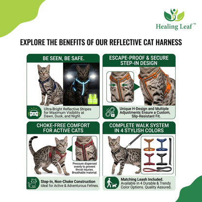 Cat Reflective Harness Single Strap (set of 3) Collar, Leash and Harness