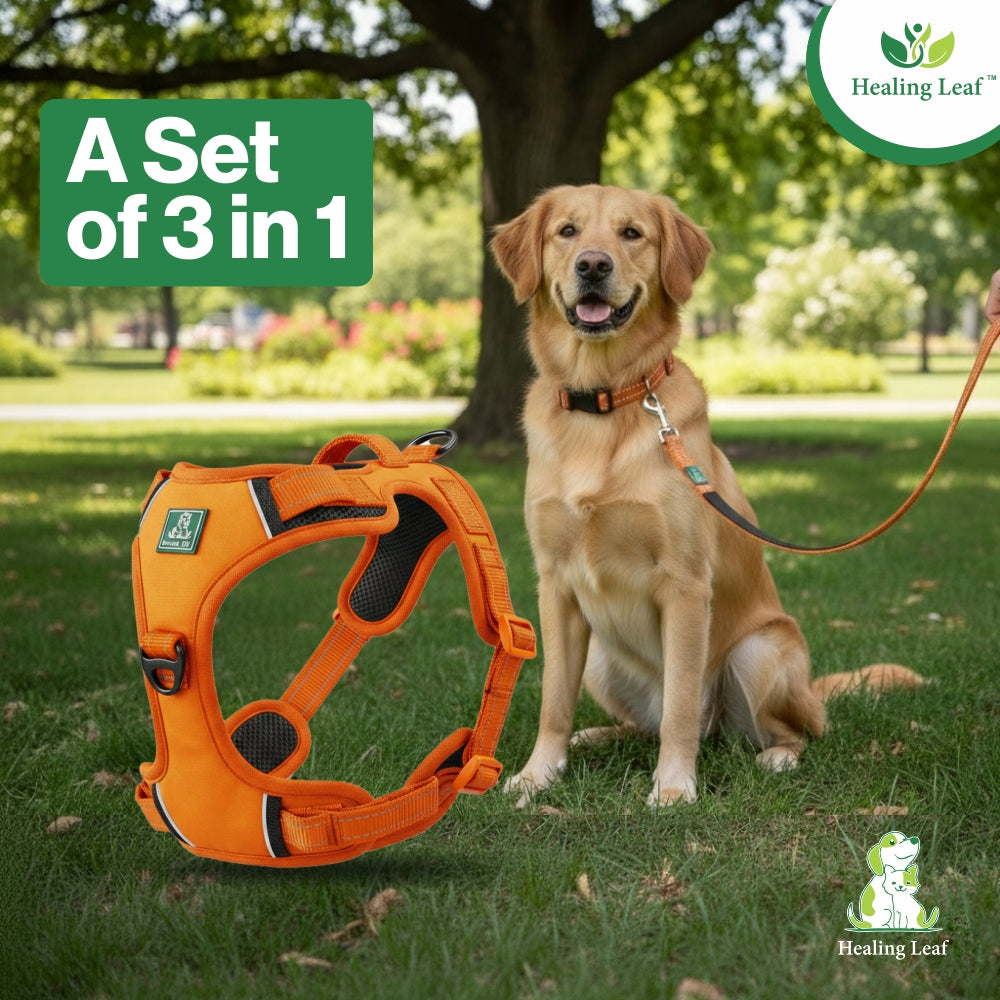 Dog Harness| Vest Harness for Dogs & Puppy | Adjustable Straps & Buckle | Soft & Breathable | 3M Reflective Padded Handle Harness with Secure Fit | Easy Control Dogs Chest Belt