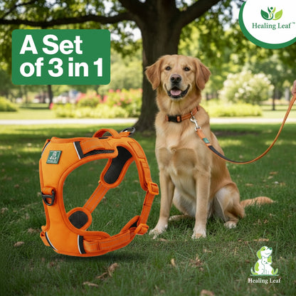 Dog Harness| Vest Harness for Dogs & Puppy | Adjustable Straps & Buckle | Soft & Breathable | 3M Reflective Padded Handle Harness with Secure Fit | Easy Control Dogs Chest Belt
