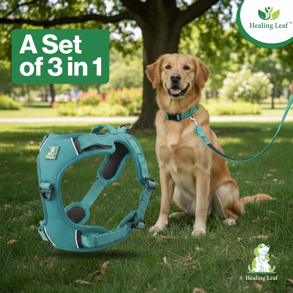 Dog Harness| Vest Harness for Dogs & Puppy | Adjustable Straps & Buckle | Soft & Breathable | 3M Reflective Padded Handle Harness with Secure Fit | Easy Control Dogs Chest Belt