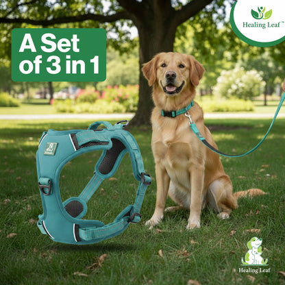 Dog Harness| Vest Harness for Dogs & Puppy | Adjustable Straps & Buckle | Soft & Breathable | 3M Reflective Padded Handle Harness with Secure Fit | Easy Control Dogs Chest Belt