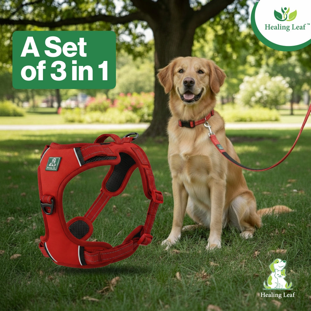 Dog Harness| Vest Harness for Dogs & Puppy | Adjustable Straps & Buckle | Soft & Breathable | 3M Reflective Padded Handle Harness with Secure Fit | Easy Control Dogs Chest Belt
