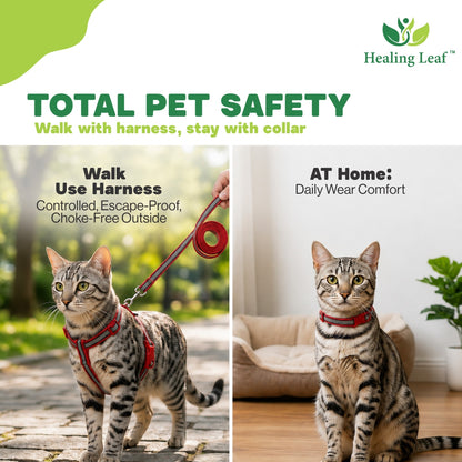 Cat Reflective Harness Single Strap (set of 3) Collar, Leash and Harness